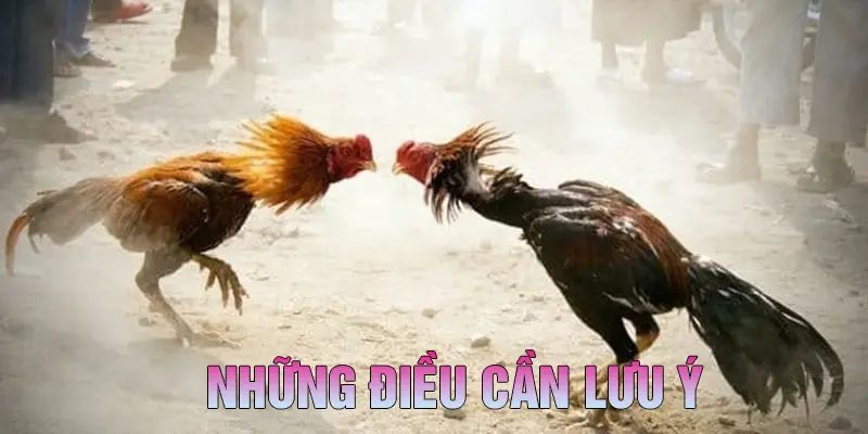 Những Lợi Ích Khi Tham Gia SOC88